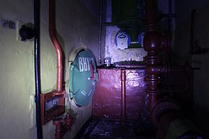 users/29217-albums887-35132.jpg