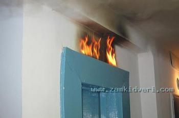 ebgyd y kznrf1