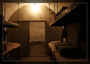 users/29217-albums916-35385.jpg