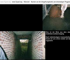 users/29217-albums923-35459.JPG