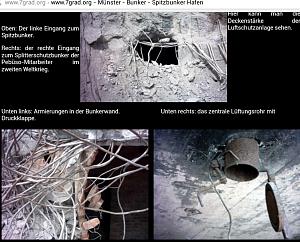 users/29217-albums923-35464.JPG