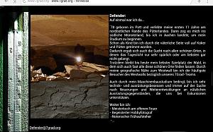 users/29217-albums924-35478.JPG