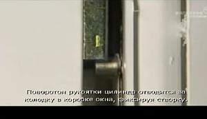 users/29217-albums938-35601.jpg