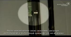users/29217-albums938-35603.jpg