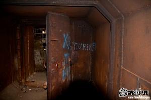 users/29217-albums941-35651.jpg