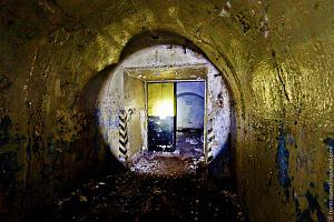 users/29217-albums942-35674.jpg