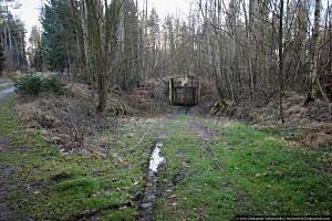 users/29217-albums951-35759.jpg