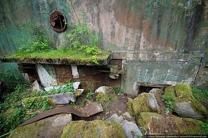 users/29217-albums971-36042.jpg