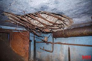 users/29217-albums1002-36429.jpg