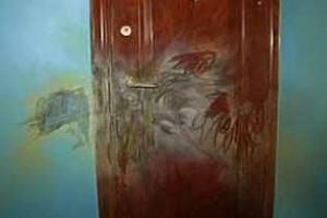 users/29217-albums1011-36524.jpg