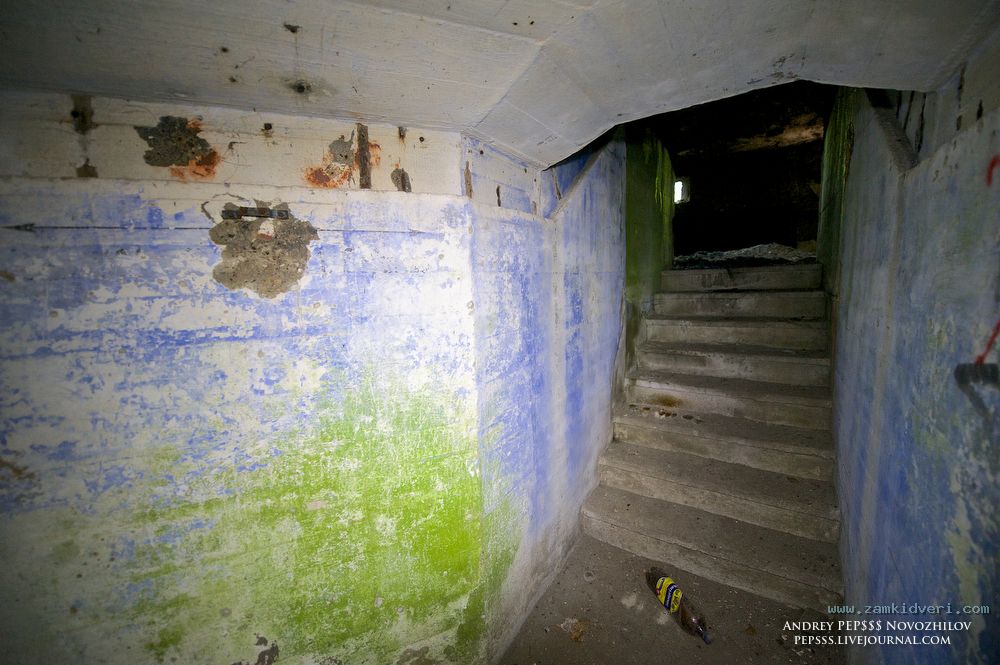 1211194 original