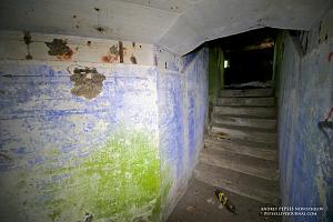 users/29217-albums1017-36589.jpg