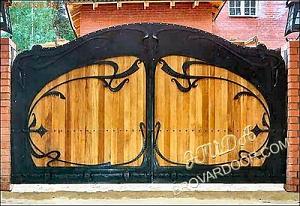 users/29217-albums1023-36679.jpg