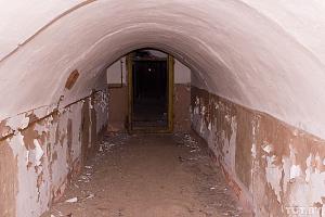 users/29217-albums1076-37139.jpg