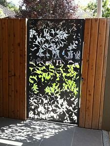 users/29217-albums1077-37163.jpg