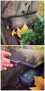 users/29217-albums1112-37816.jpg