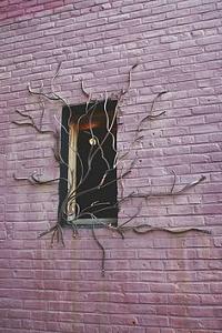 users/29217-albums1133-38113.jpg