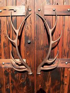 users/29217-albums1139-38218.jpg