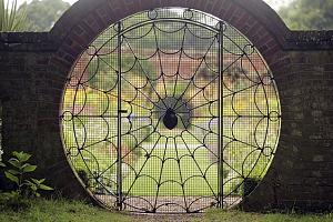 users/29217-albums1140-38234.jpg