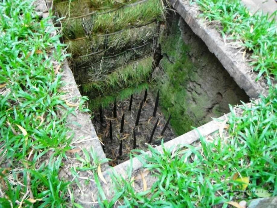 bamboo booby trap