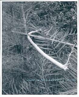 113393509 1966 vietnam cross bow and arrow booby trap press photo