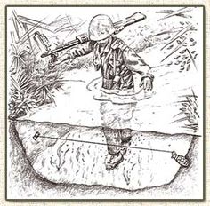 users/29217-albums1144-38301.jpg