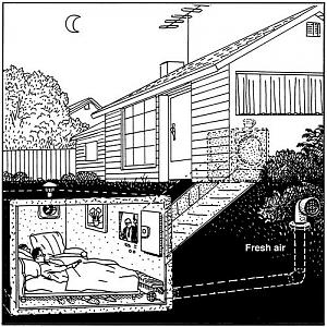 users/29217-albums1146-38312.jpg