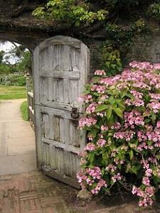 users/29217-albums1151-38382.jpg