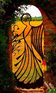 users/29217-albums1155-38464.jpg