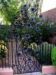 users/29217-albums1155-38477.jpg