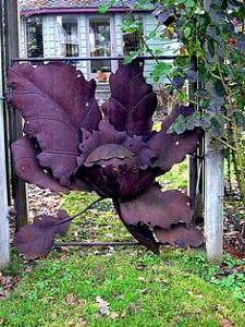 users/29217-albums1155-38480.jpg