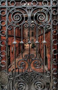 users/29217-albums1157-38509.jpg