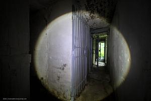 users/29217-albums1171-38696.jpg