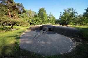 users/29217-albums1171-38697.jpg