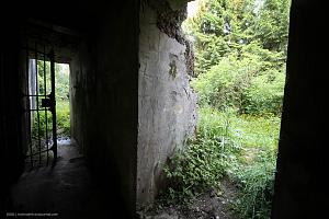 users/29217-albums1171-38712.jpg