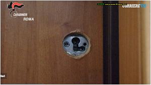 users/29217-albums1179-38806.jpg