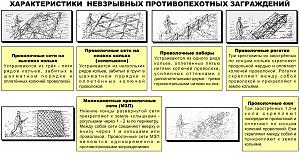 users/29217-albums1184-38874.jpg