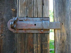 users/29217-albums1193-39011.jpg