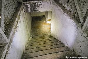 users/29217-albums1201-39087.jpg