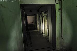 users/29217-albums1201-39090.jpg