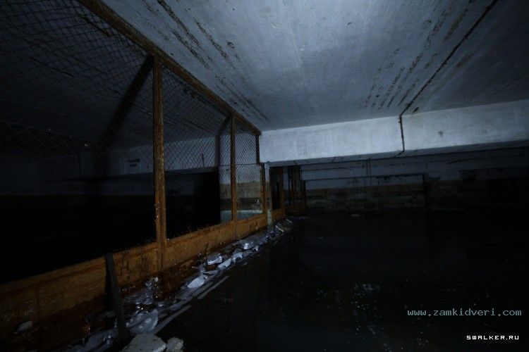 1422711279 swalker.org img 2892