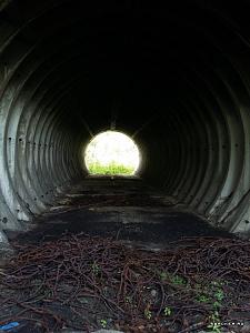 users/29217-albums1214-39224.jpg