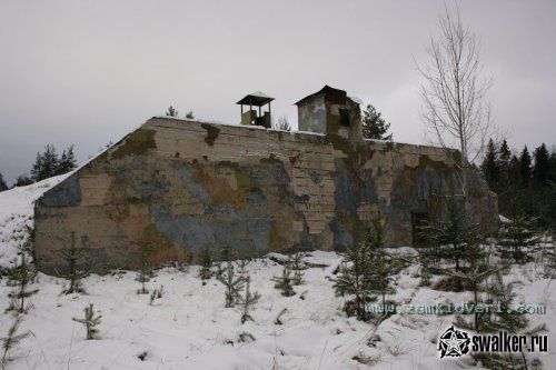 1313172733 swalker.ru img 8048