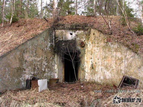 1313172293 swalker.ru img 2633