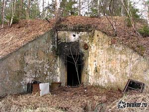 users/29217-albums1214-39228.jpg