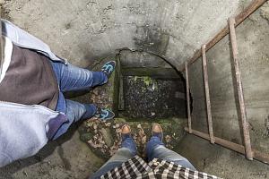 users/29217-albums1217-39256.jpg