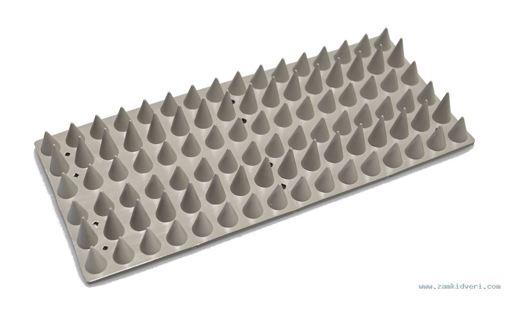Flat Section