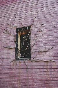 users/29217-albums1336-40659.jpg
