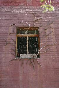 users/29217-albums1336-40660.jpg